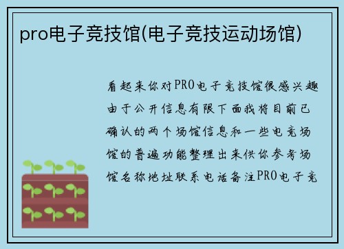 pro电子竞技馆(电子竞技运动场馆)